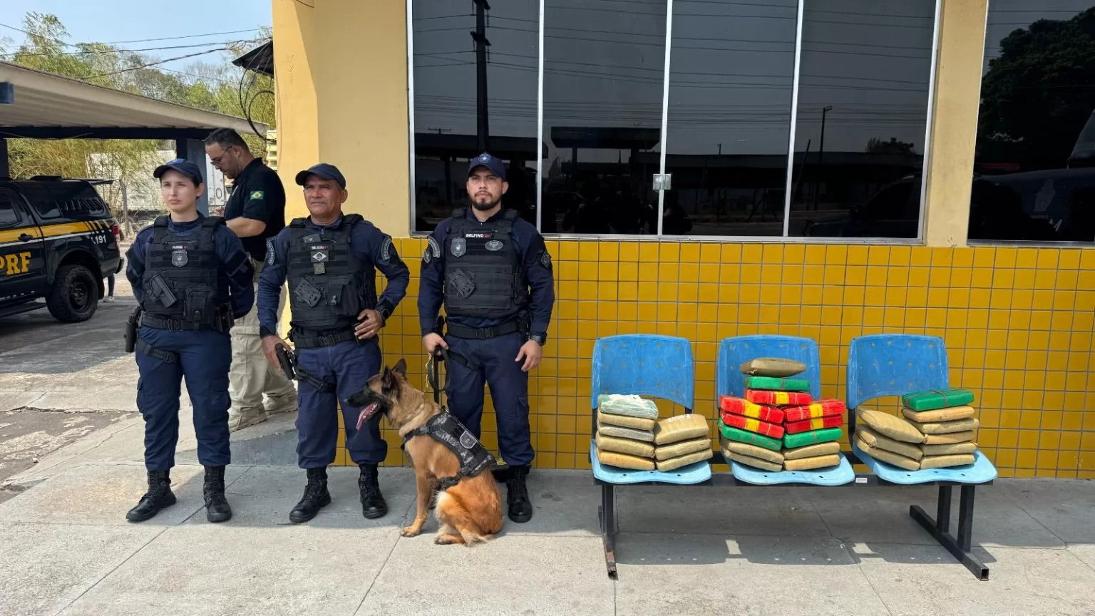 Cadela Zaya da Guarda Municipal de Manaus encontra 30 kg de drogas em ônibus