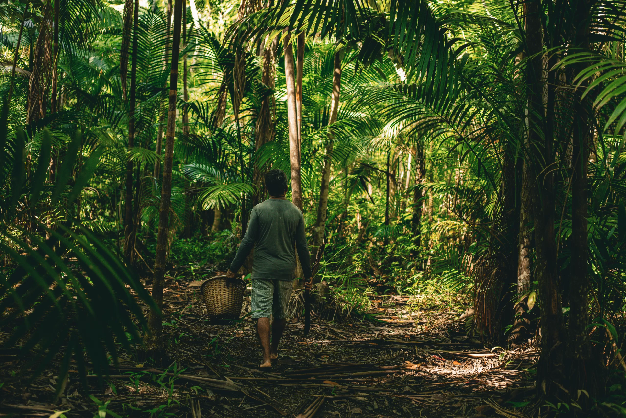 Amazônia que gera valor: Natura transforma biodiversidade em beleza e renda