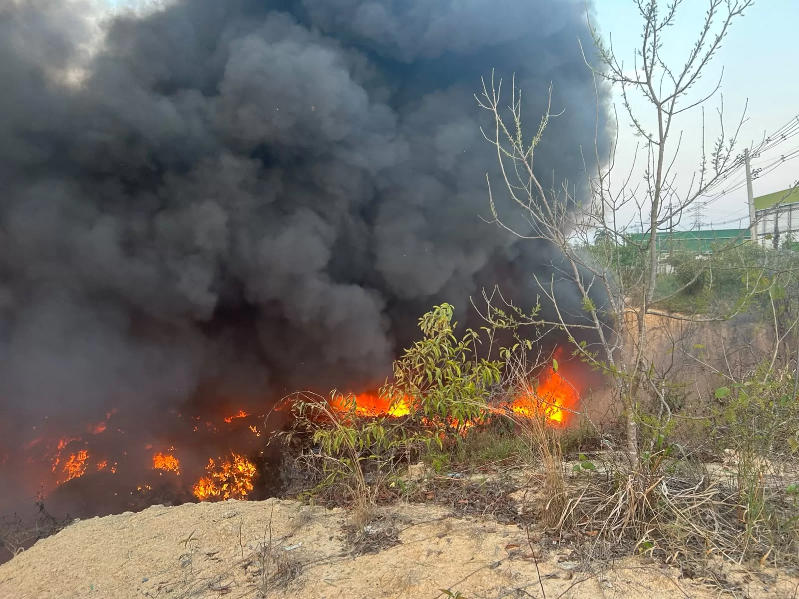 Incêndios criminosos no Amazonas podem gerar multa de R$ 10 mil por hectare