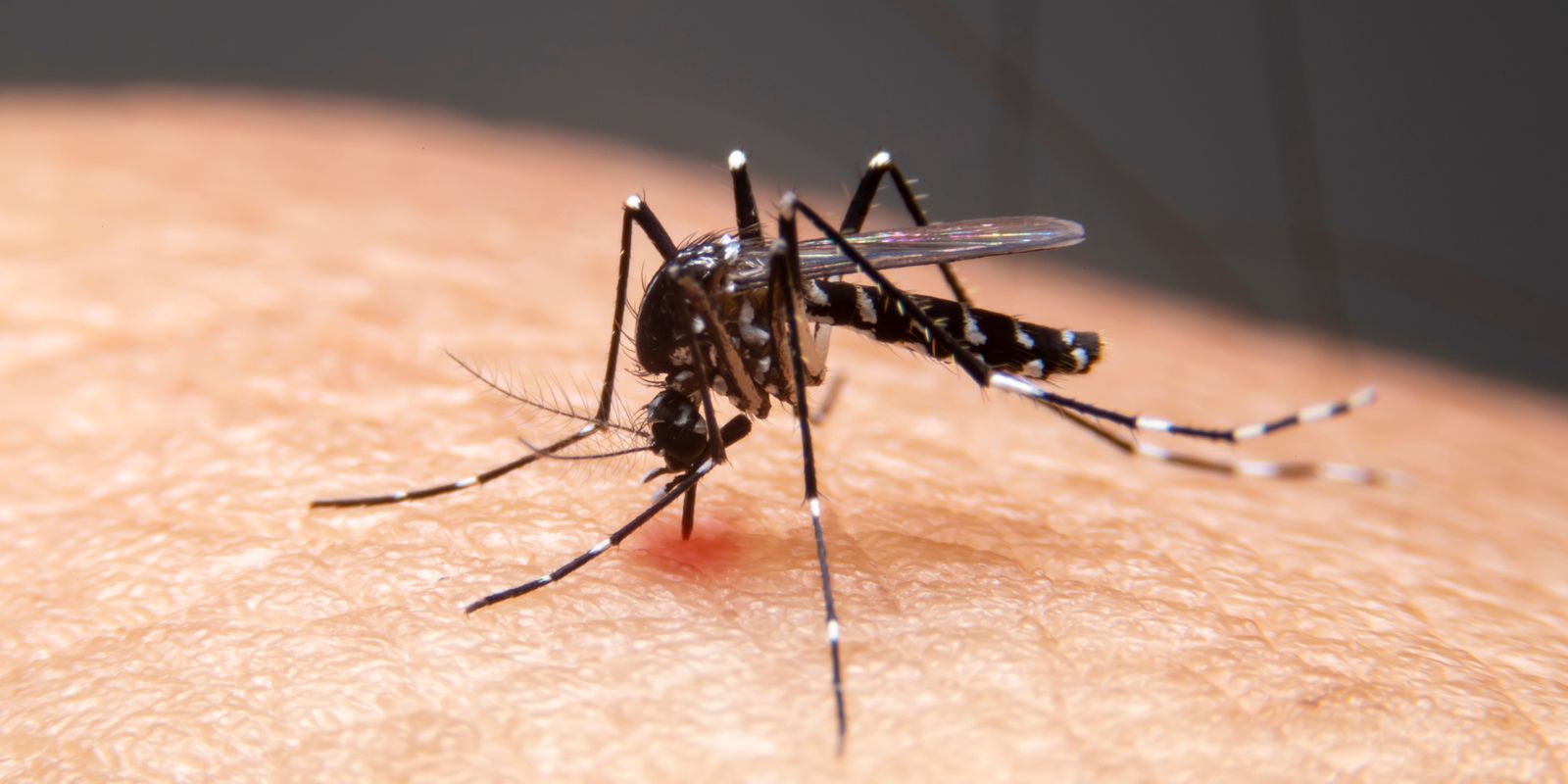 Mudanças climáticas já causam aumento de doenças infecciosas no país