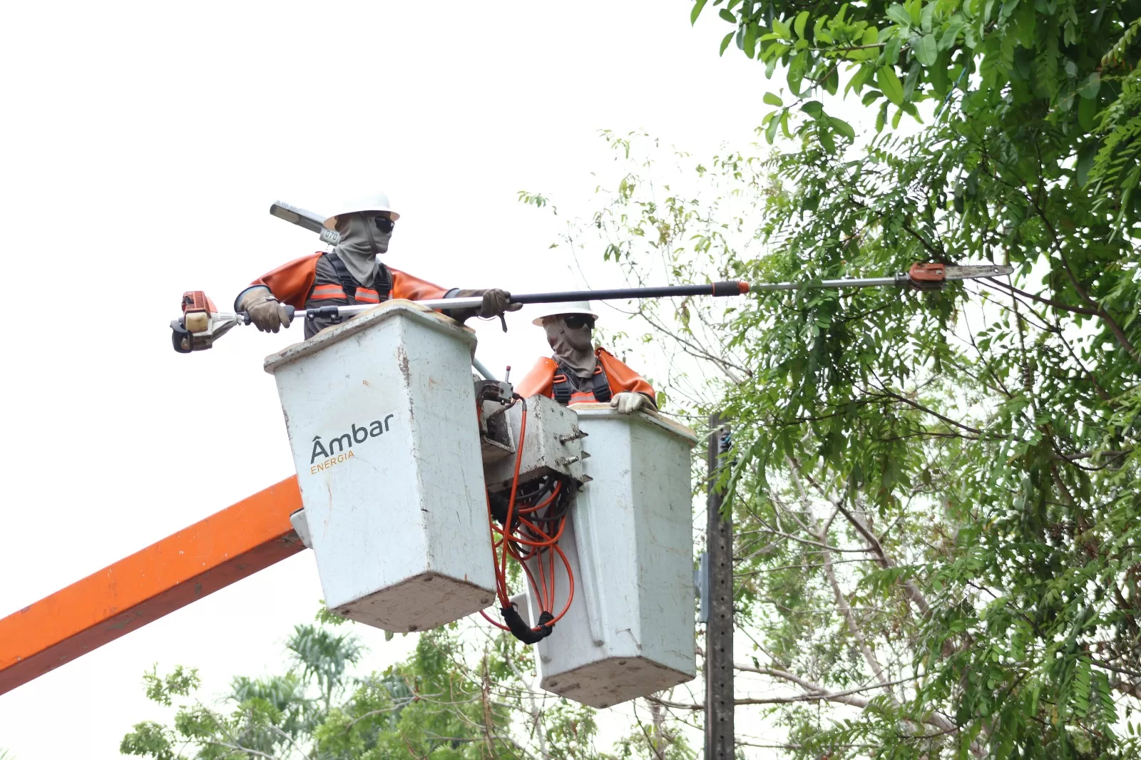 Âmbar Energia realiza 2,3 mil ações na rede elétrica do Amazonas em uma semana