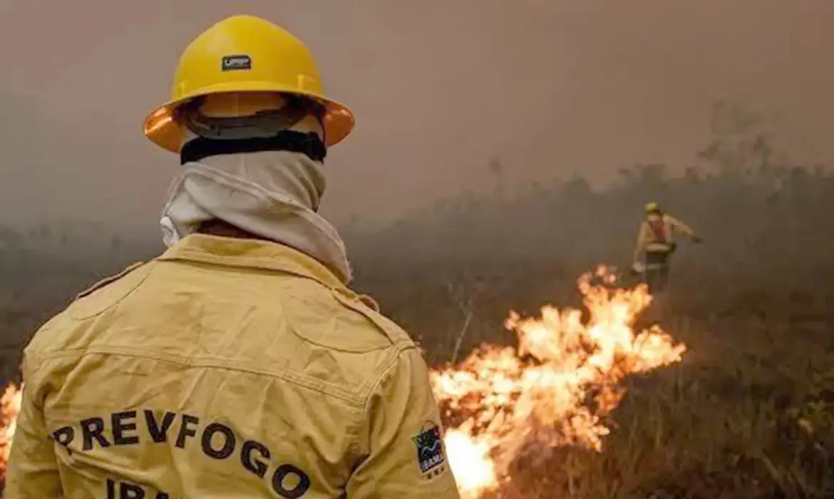 Força-tarefa apaga 300 focos de incêndio em cinco dias no Amazonas