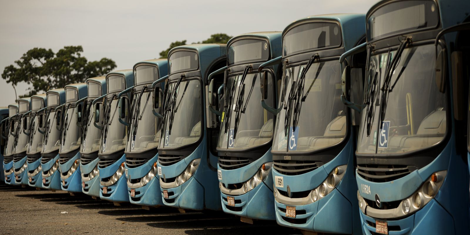 TRE-BA determina retomada integral da frota de ônibus em Salvador